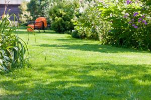 travaux jardin et paysage Diconne